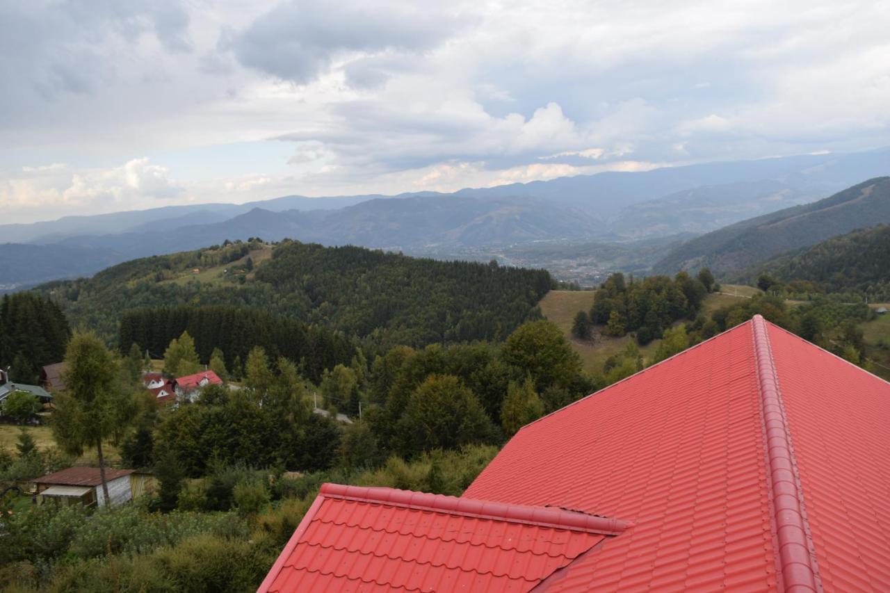 Pensiunea Bujor De Munte Hotel Petroşani Exterior foto